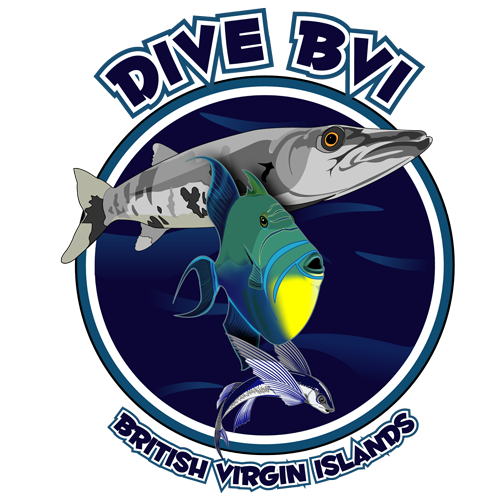 Dive BVI logo
